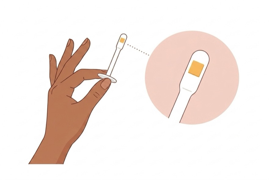 Ilustração instrucional de uma mão segurando o aplicador do teste pela alça, com detalhe ampliado da almofada colorida na ponta